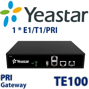 TE100 1X PRI E1/T1 PORT IP GATEWAY